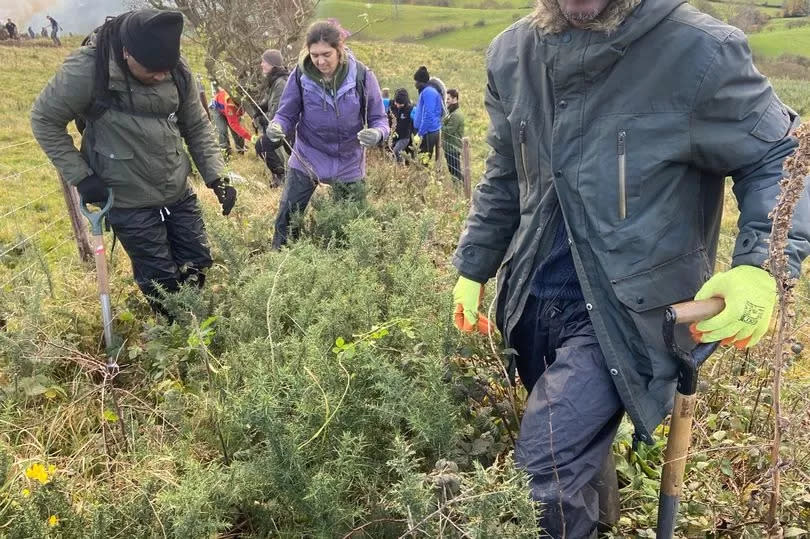 Asylum Link Merseyside's Action Asylum project members doing tree planting in Wales (Image: Ahmed Nadi)