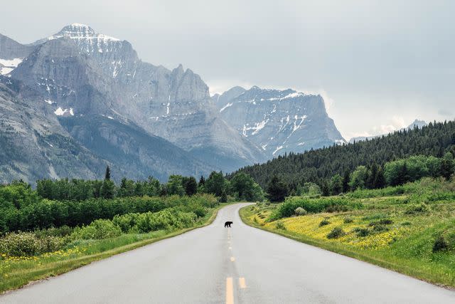 <p>Irjaliina Paavonpera/Travel + Leisure</p> Glacier National Park.