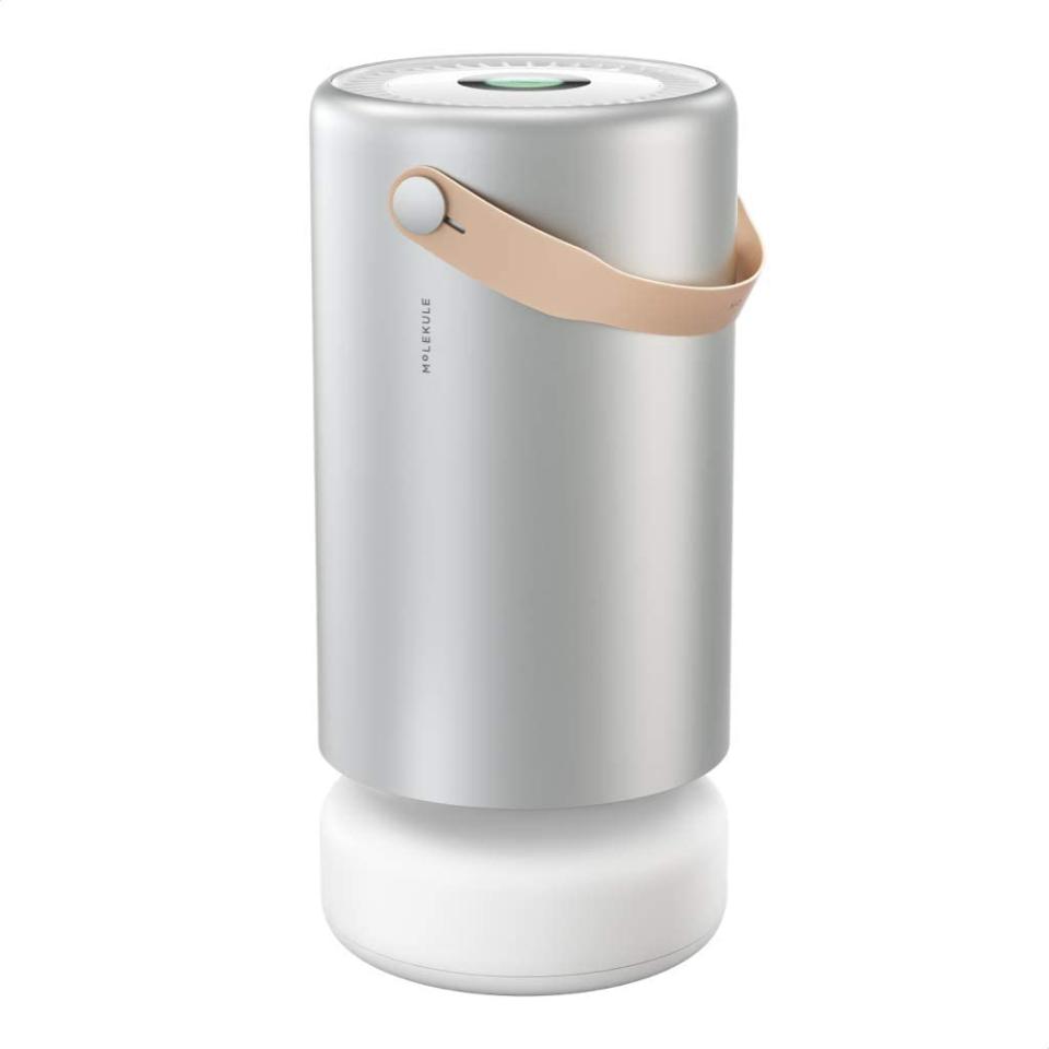 molekule air pro purifier