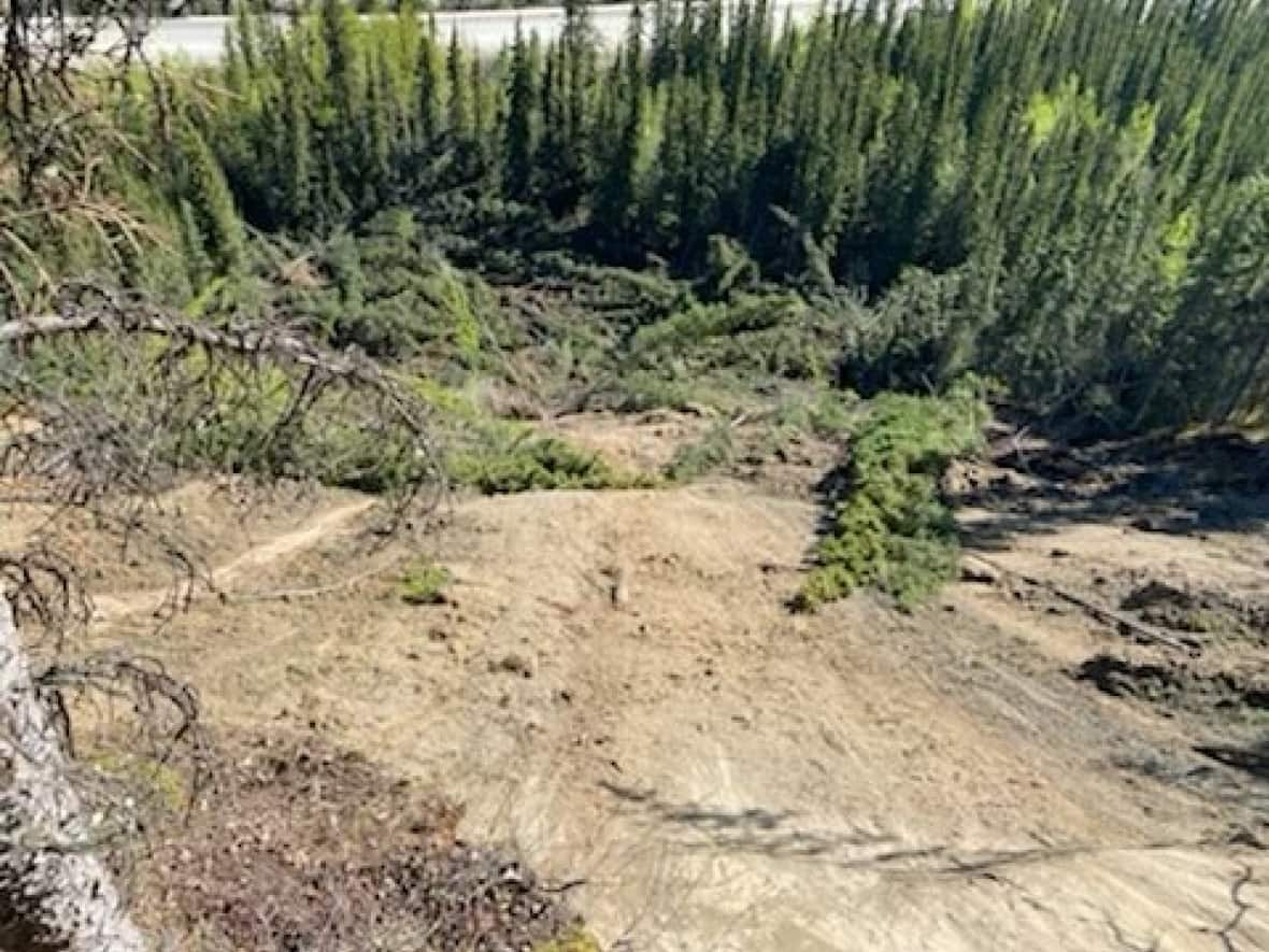 A top view of the landslide along Robert Service Way that happened on Tuesday. (Submitted by Jeff Bond - image credit)