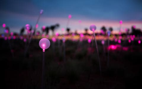 The spectacular Field of Light installation - Credit: LAUREN BATH