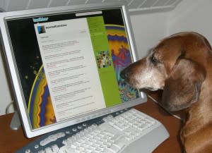 Dog at the computer