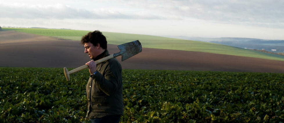 Un champ de betteraves à sucre, en France, en novembre 2020.  - Credit:Nathan Laine/Hans Lucas via AFP