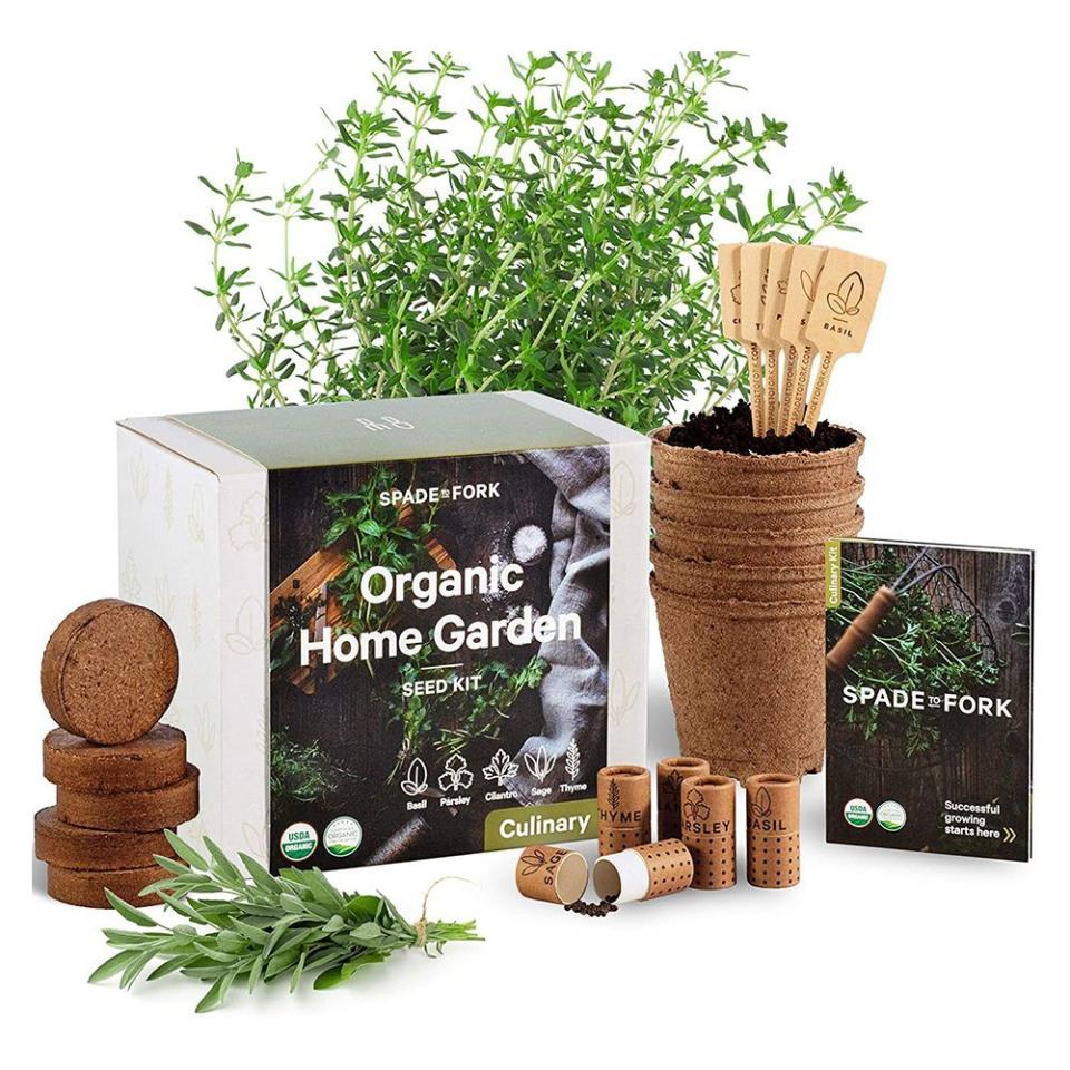 1) Spade to Fork Indoor Herb Garden Kit