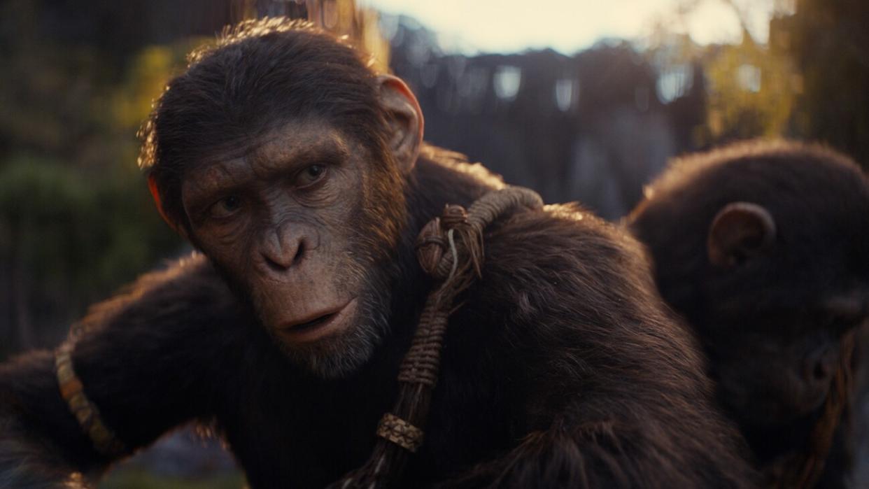  Noa (Owen Teague) in Kingdom of the Planet of the Apes. 