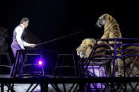 <p>Big-cat trainer Alexander Lacey performs with lions and tigers Sunday, May 1, 2016, in Providence, R.I. (AP Photo/Bill Sikes) </p>