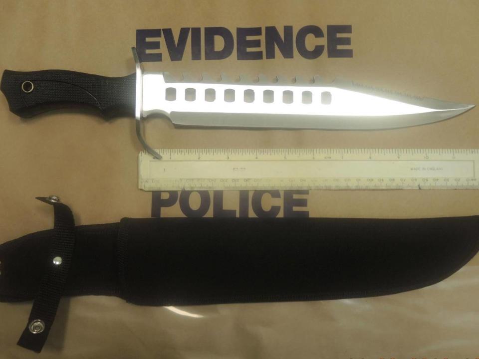 'Zombie knives', including this one recovered in London, have been used in a series of murders, stabbings and robberies (Metropolitan Police)