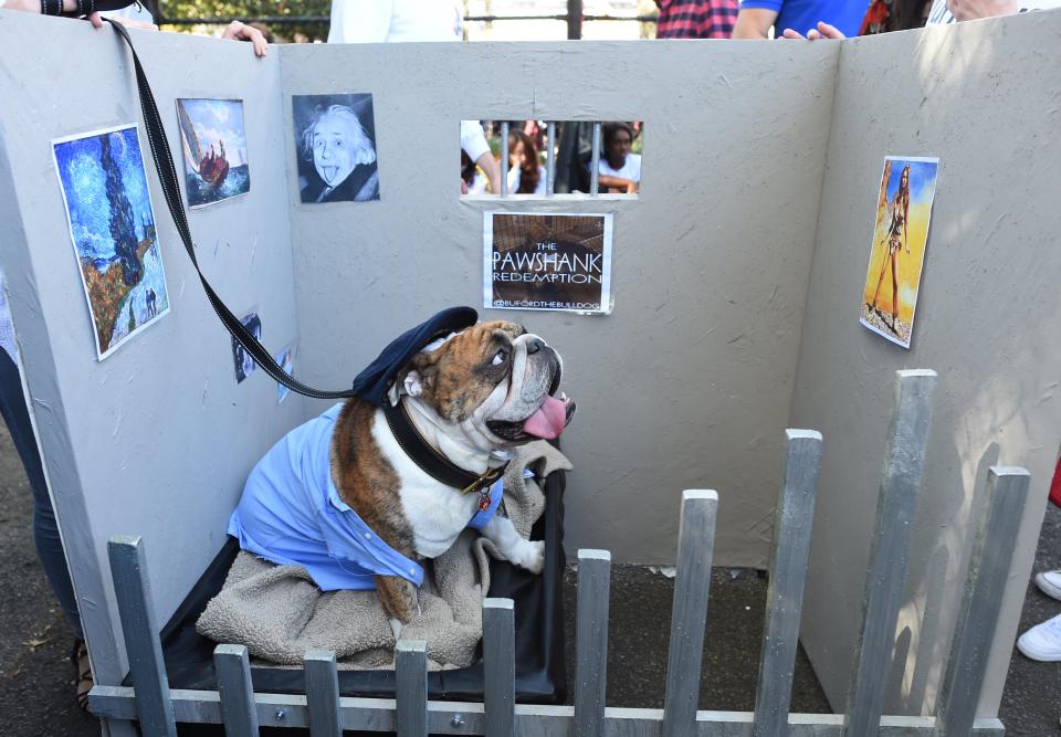 Costumed pooches prance In annual Halloween Dog Parade in New York City