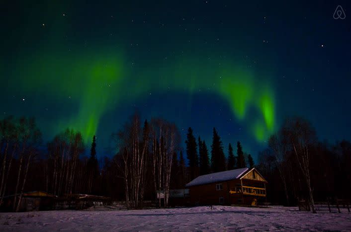 This cabin features stunning views of "Alaskan wildlife, beautiful sun sets and our famous auroras."<br>  <strong>City:</strong> Fairbanks<br> <strong>Title:</strong> <a href="http://airbnb.com/rooms/3363559" target="_blank">Arctic Roots Farm Onig's Cabin</a><br> <strong>Nightly rate:</strong> $176<br> <strong>Bedrooms:</strong> 2<br> <strong>Occupancy rate:</strong> 64 percent<br> <strong>Reviews:</strong> 16<br>      