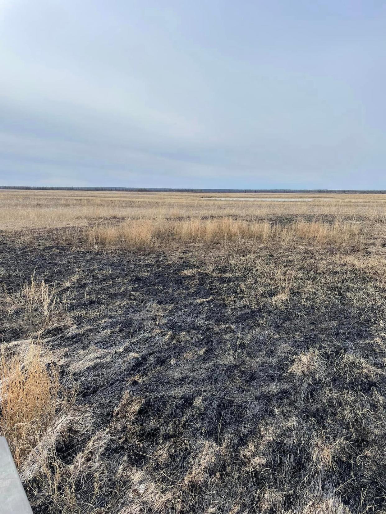 Earl Evans took this photo of the area near Fort Smith, N.W.T., where he normally hunts for ducks every spring. He had no luck this year, blaming the dry, burnt conditions.  (Submitted by Earl Evans - image credit)