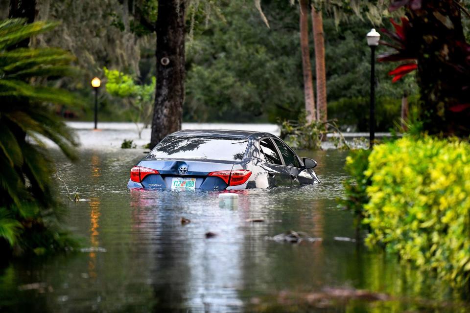 Photo credit: Gerardo Mora - Getty Images