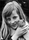 <p>Diana grew up surrounded by dogs, cats, hamsters, rabbits, and horses. “She loved animals when she was a child,” <a href="https://books.google.com/books?id=YUWj6uKYHM4C&pg=PT17&lpg=PT17&dq=%E2%80%9CShe+loved+everything+that+was+small+and+furry+or+had+feathers.%E2%80%9D+diana&source=bl&ots=PLT_CtGef3&sig=Fc_B1eEBZ11X62S0VsmEuluKF08&hl=en&sa=X&ved=0ahUKEwj7nouijcbVAhXFz4MKHdAEADUQ6AEINDAC#v=onepage&q=%E2%80%9CShe%20loved%20everything%20that%20was%20small%20and%20furry%20or%20had%20feathers.%E2%80%9D%20diana&f=false" rel="nofollow noopener" target="_blank" data-ylk="slk:her mother said;elm:context_link;itc:0;sec:content-canvas" class="link ">her mother said</a>. “She loved everything that was small and furry or had feathers.” Diana learned to ride horses before she was four, but after she broke her arm in a riding accident, her love faded. Still, her empathy for all living creatures would be a hallmark of her life. Here she holds her pet guinea pig during a pet show in Sandringham. She brought her guinea pig to her first boarding school, Riddlesworth Hall, where she was made head of “Pets’ Corner,” where the students’ pets were housed.</p>