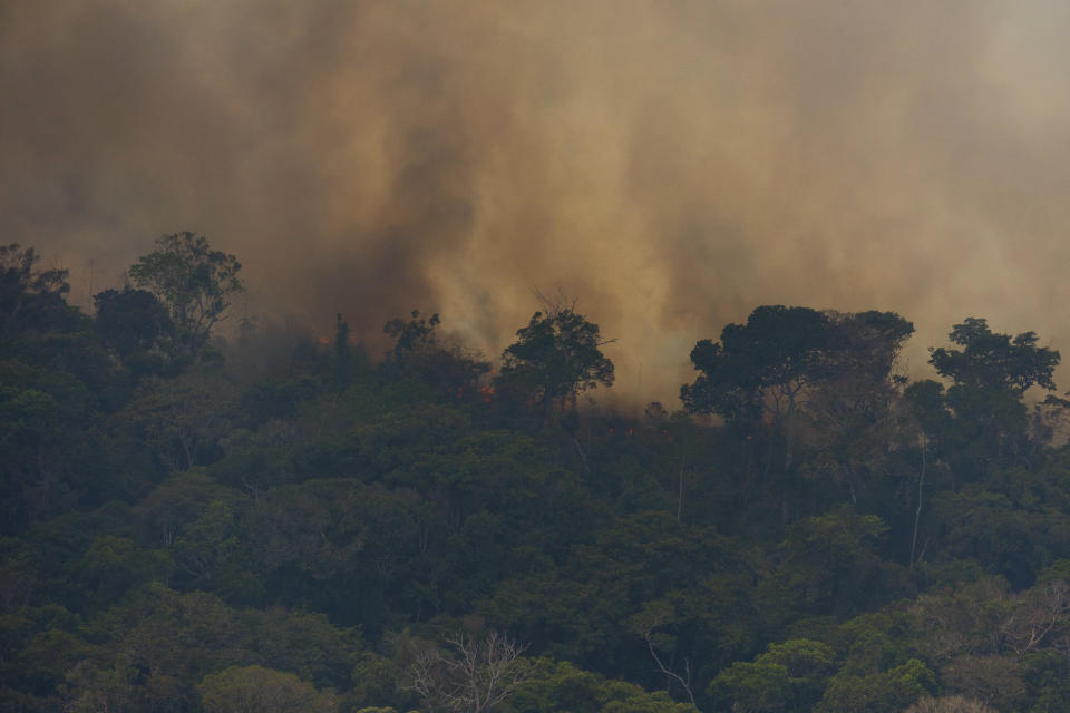 Fire consumes the jungle near Porto Velho, Brazil, Friday, Aug. 23, 2019. Brazilian state experts have reported a record of nearly 77,000 wildfires across the country so far this year, up 85% over the same period in 2018. Brazil contains about 60% of the Amazon rainforest, whose degradation could have severe consequences for global climate and rainfall. (AP Photo/Victor R. Caivano)
