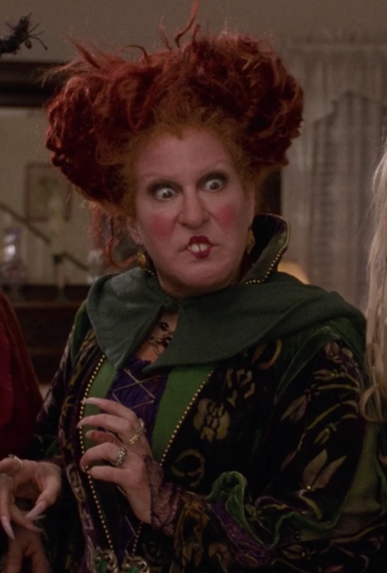 hocus pocus halloween costumes