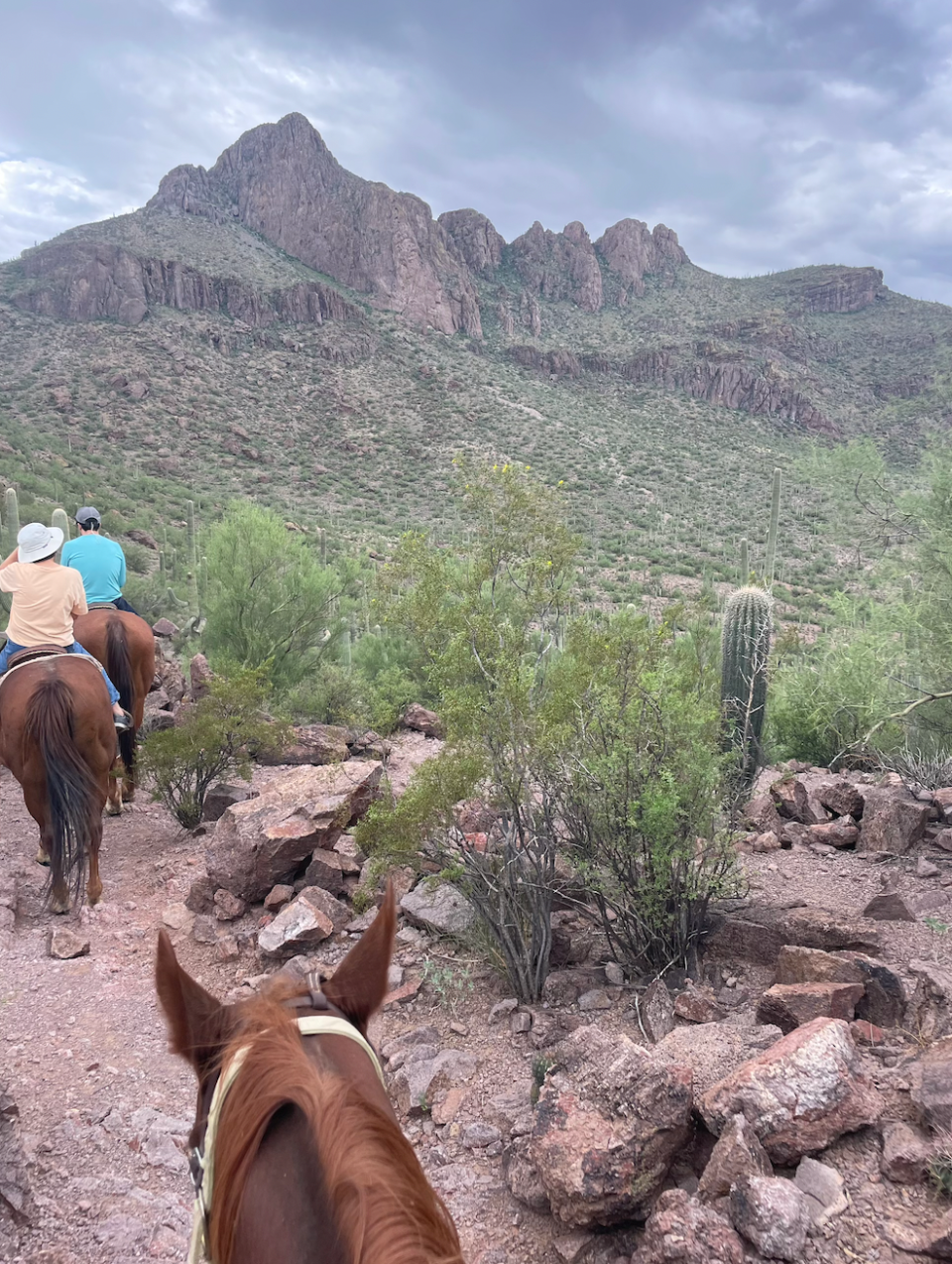 The horseback rides are varied and comfortable, even for first-time riders like my mom.