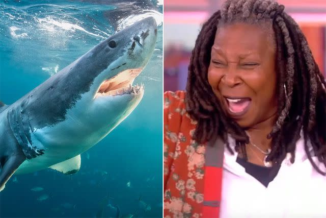 <p>Getty Images; ABC</p> Whoopi Goldberg wants to fight a shark