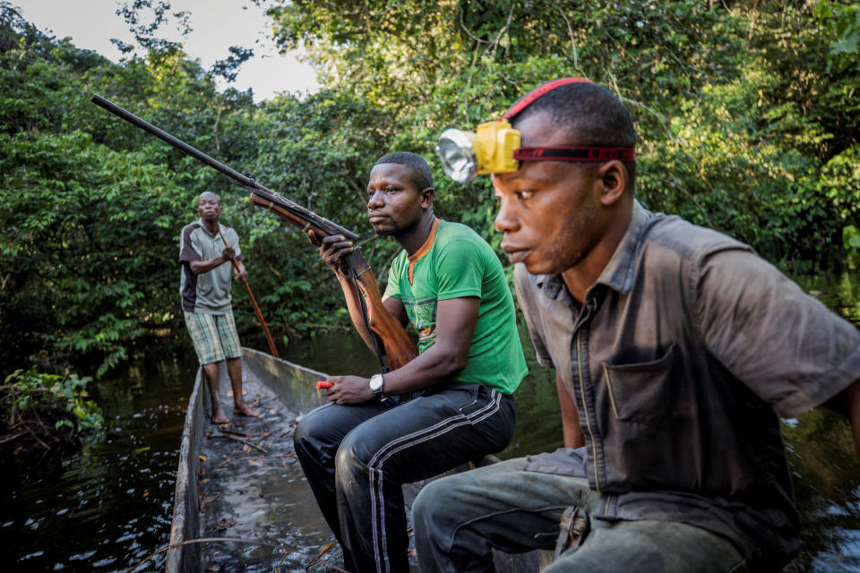 La caza de animales salvajes en el Congo amenaza con destruir la fauna de la región