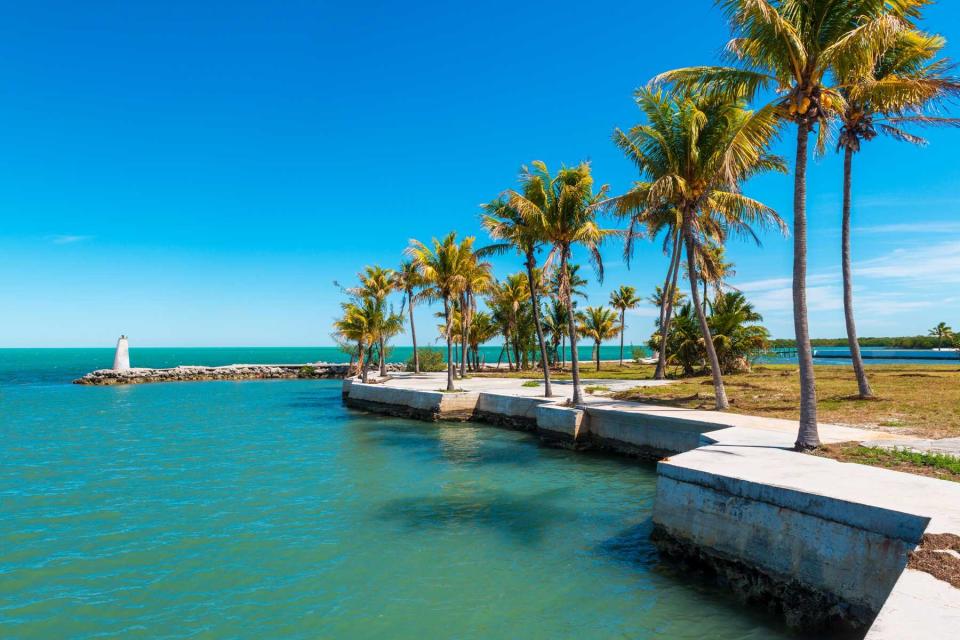 Small Bay in Marathon, Florida Keys, Florida with palm trees and bright blue water