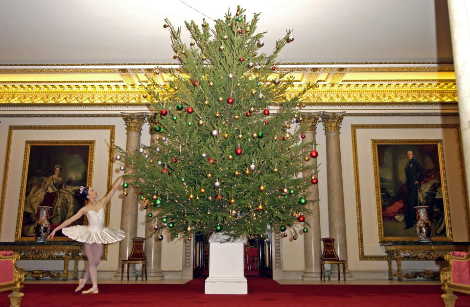 LONDON, UNITED KINGDOM - DECEMBER 14:  A Dancer From The English National Ballet, Dressed In Costume, Stands In Front Of A Christmas Tree At Buckingham Palace Whilst Attending A Christmas Tea  (Photo by Tim Graham Photo Library via Getty Images)