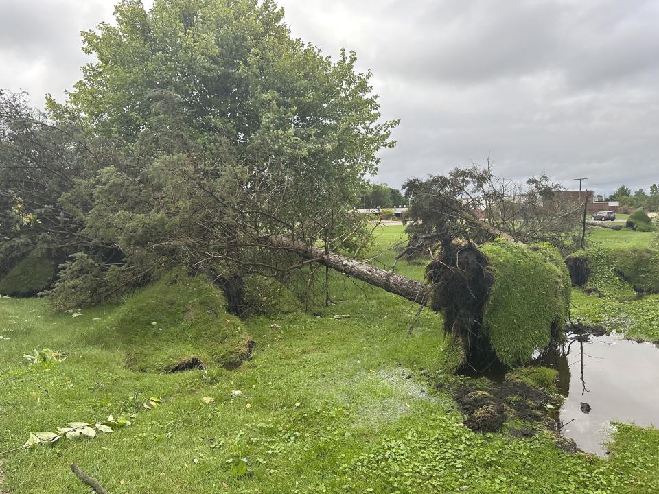 A tree is uprooted outside a home on Friday, Aug. 25, 2023, in Canton Township, Mich. A strong storm powered by winds of up to 75 mph (121 kph) in Michigan downed trees, tore roofs off buildings and left hundreds of thousands of customers without power. (AP Photo/Mike Householder)