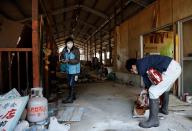 The Wider Image: The man who saves forgotten cats in Fukushima's nuclear zone