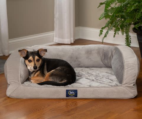 Serta quilted couch pet bed (75% off)