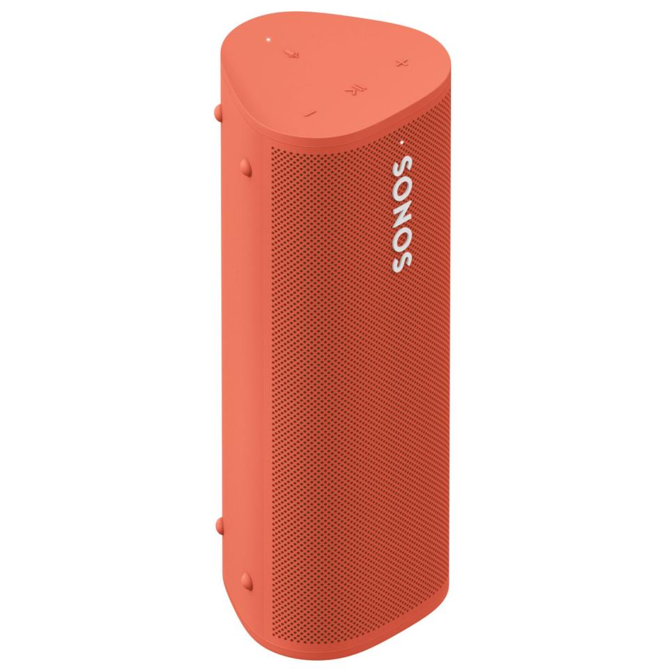 11) Roam Portable Smart Speaker