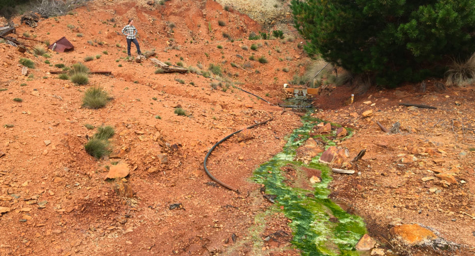 A person in the distance looks at the green flowing water.