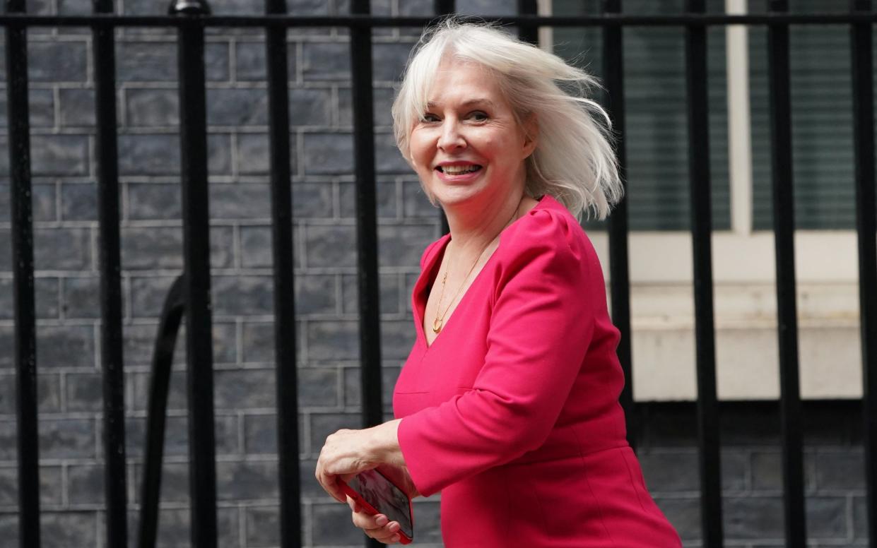 Nadine Dorries, on her way into Downing Street to receive a promotion on Wednesday - Victoria Jones/PA