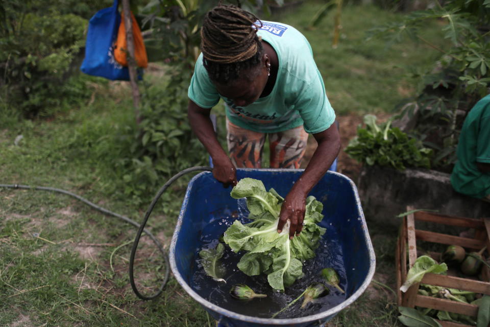 Rosilda Rodrigues washes vegetables during the harvest day at the Horta de Manguinhos (Manguinhos vegetable garden), the biggest urban garden in Latin America, part of the project 