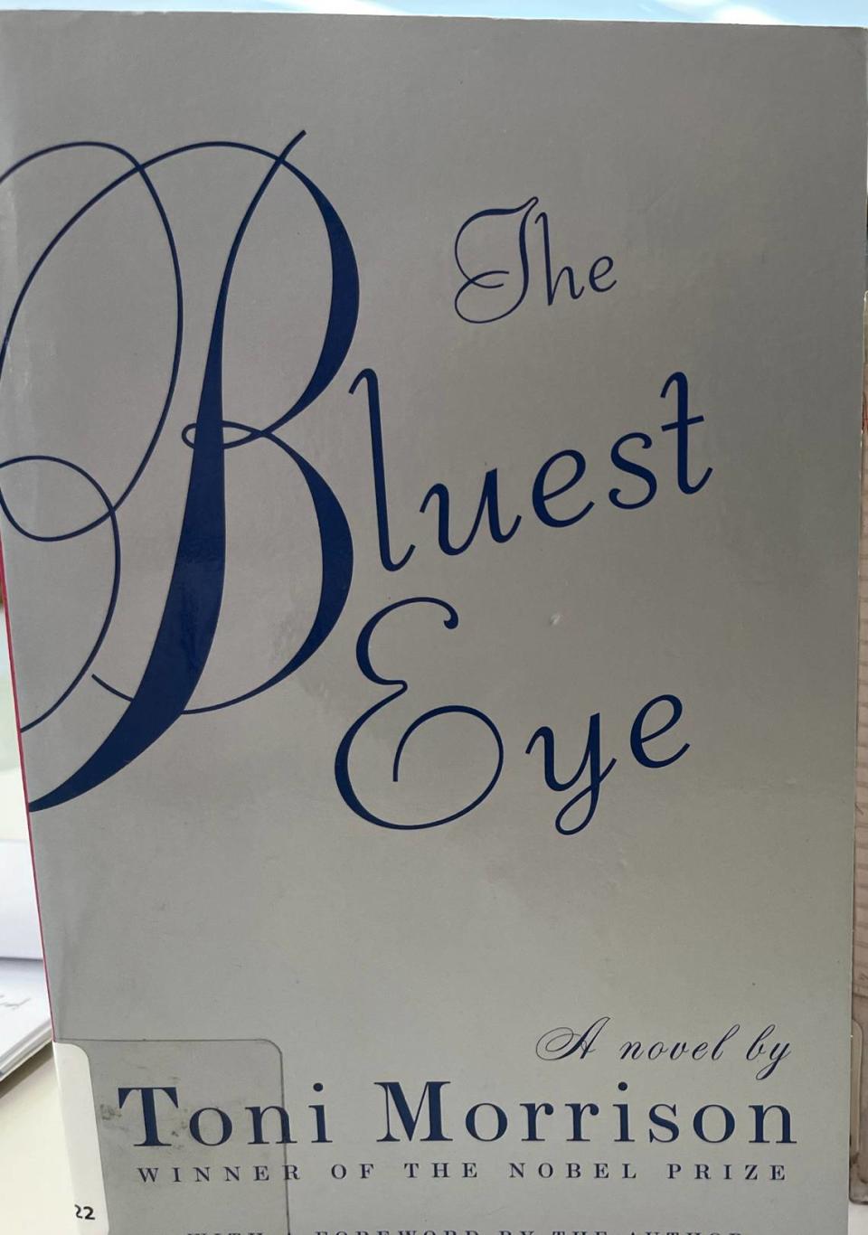 The Bluest Eye by Toni Morrison was removed from at least 12 school districts in Florida last year, including Clay and Broward.