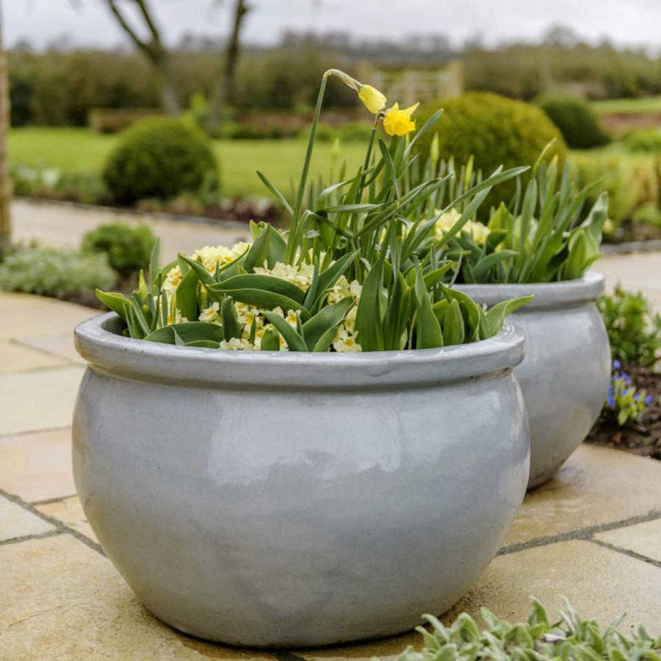 Large grey pot plants with yellow flowered plants on the patio. A modern brick and timber framed family house with four bedrooms, built by Lisa Sower-Lewis and Anthony Lewis in 2016 near Chester.