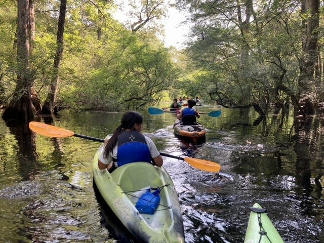 Ebenezer Creek begins to narrow, and guides, students and chaperones must paddle single file.