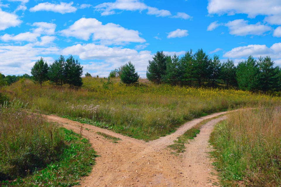 Fork in a country road.