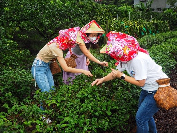 水保局力推農村FUN心玩　好物OK購愈玩愈省！