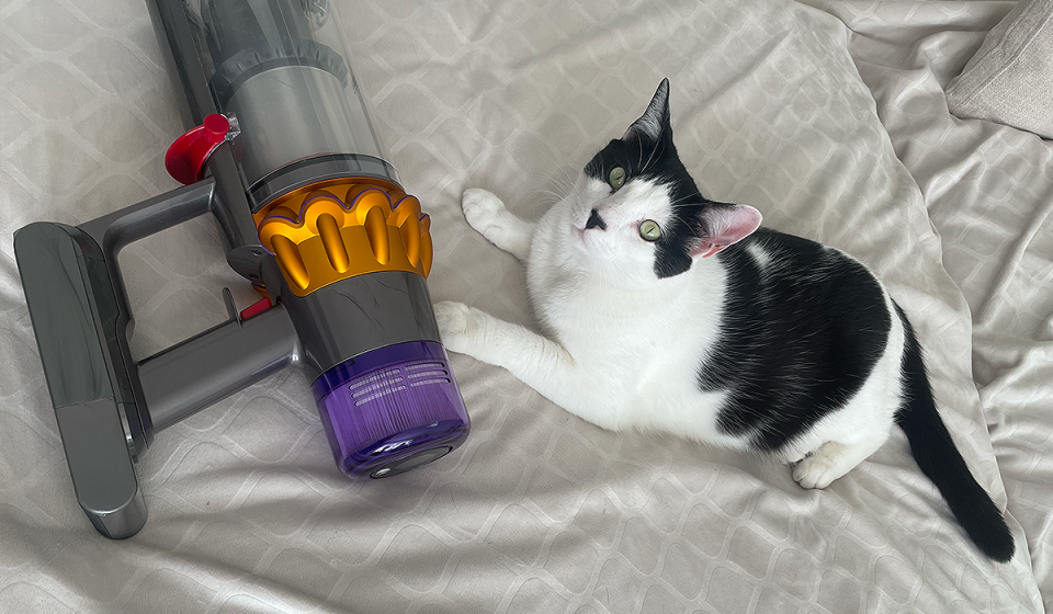 A cat is shown assessing the Dyson V15 Detect vacuum head for Yahoo Life's Best Dyson cordless stick vacuums guide.