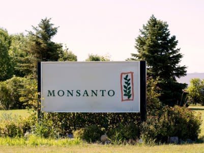 FILE PHOTO: Monsanto's research farm is pictured near Carman, Manitoba, Canada August 3, 2017. REUTERS/Zachary Prong/File Photo