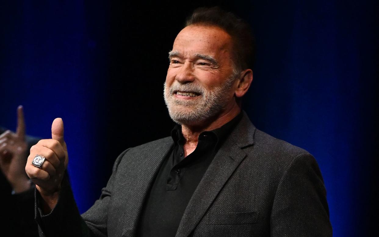 Daumen nach oben für Arnold Schwarzeneggers Kekse: Auf die stehen Tier und Mensch gleichermaßen, wie der Schauspieler nun verriet. (Bild: Getty Images / Jeff Spicer)