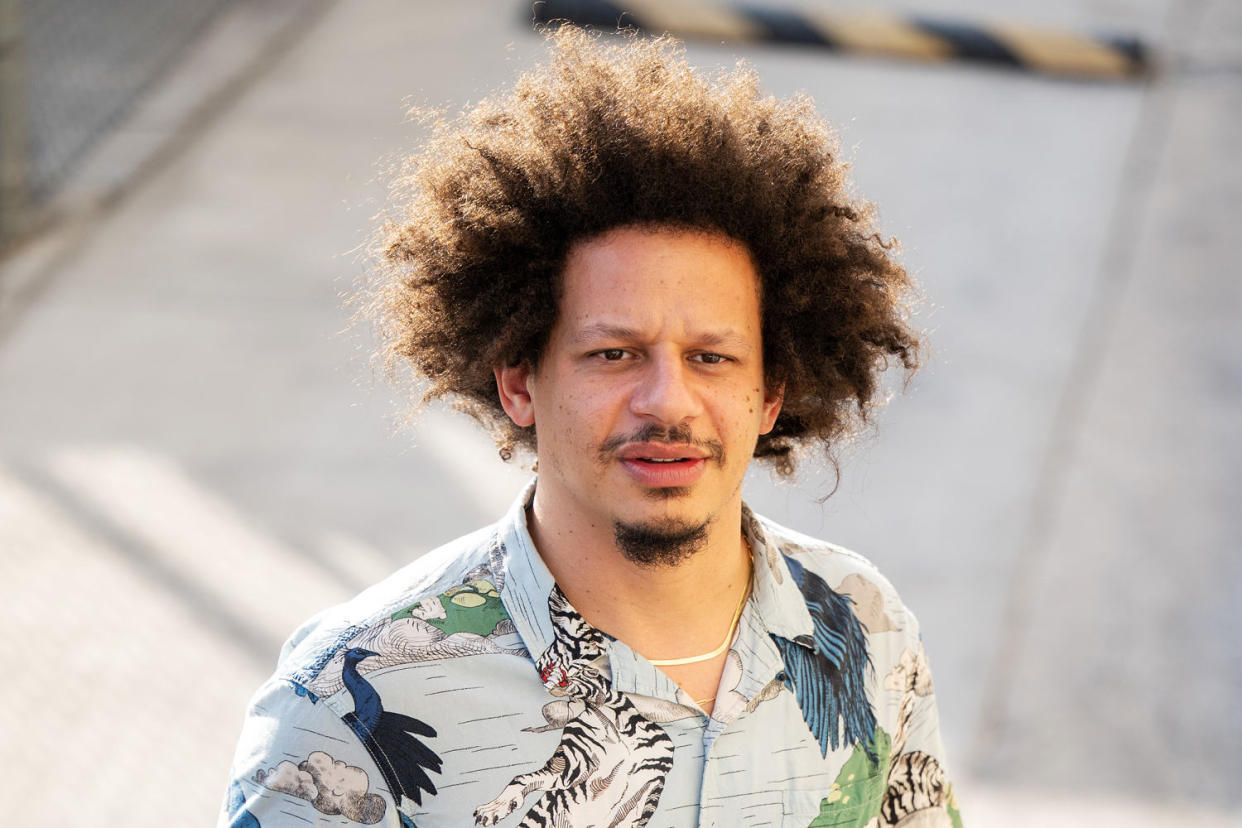 Comedian Eric Andre (RB / Bauer-Griffin / GC Images file)