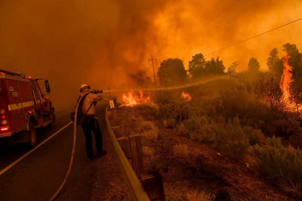 Firefighters work to contain a fire from Highway 395 during the Dixie Fire on 17 August, and was the second largest single wildlife in California state history. (AFP via Getty Images)