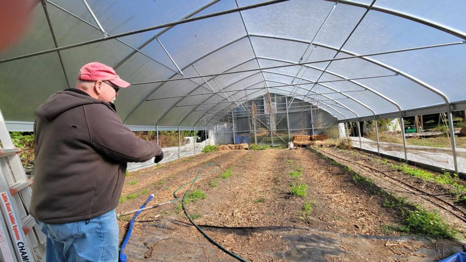 Veterans Healing Farm executive director Alan Yeck talks about the greenhouse on the farm that has 115 varieties of tomatoes.