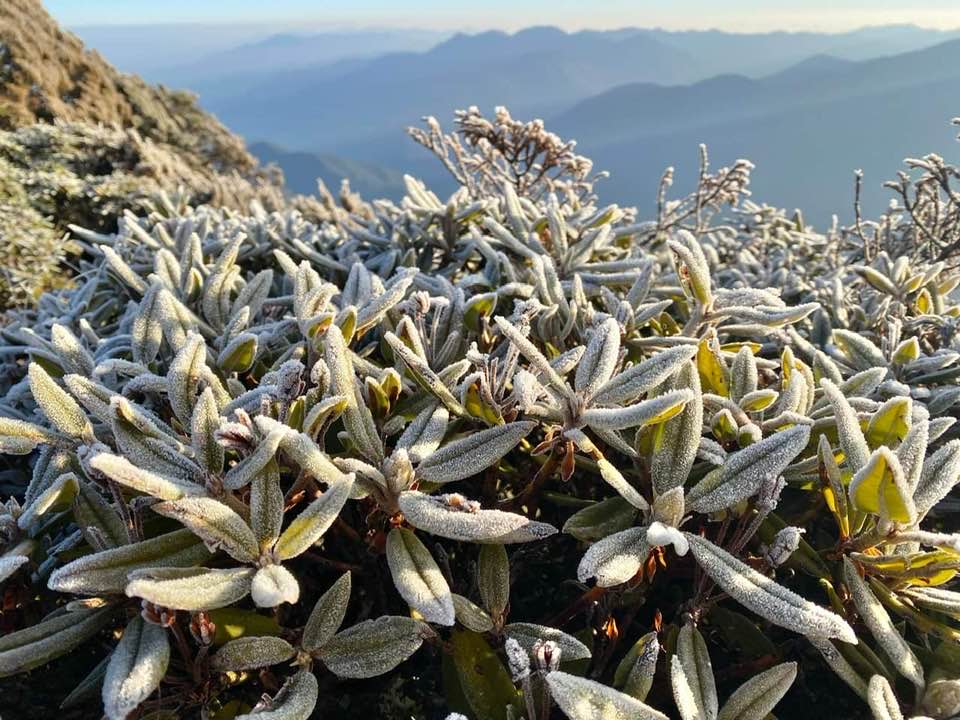 據氣象局統計，玉山站1月平均氣溫為3度，創歷年同期最高紀錄。   圖：翻攝自鄭明典臉書