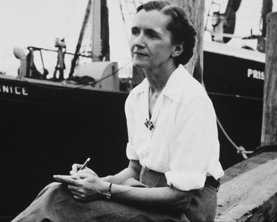 American biologist Rachel Carson is considered the mother of environmental movements.