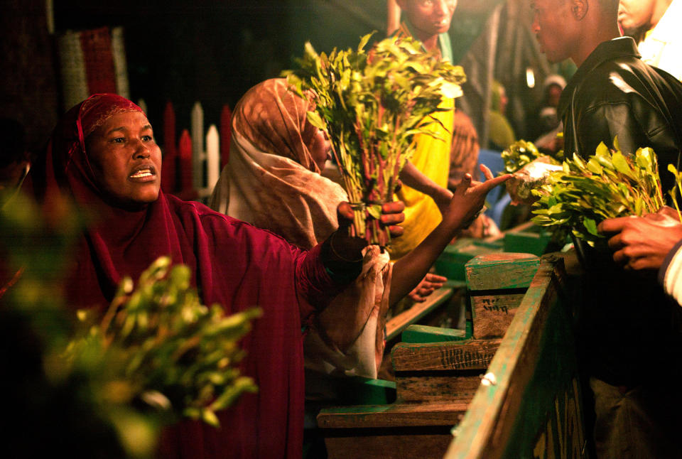 A woman holds a bunch of khat out for sale on her stall in a khat nightmarket in Hargeisa, Somaliland in 2008. The khat is imported by truck from Harar in Ethiopia. | Pascal Maitre—Panos Pictures/Redux