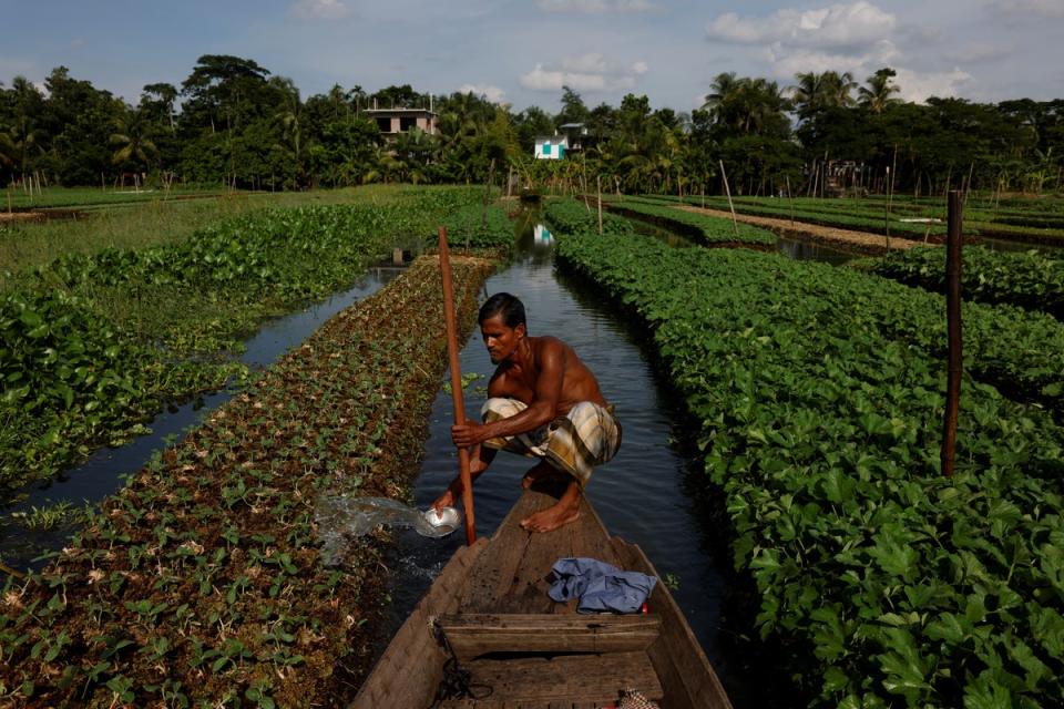 Mohammad Ibrahim, 48, irrigates his floating bed at his farm (Reuters)