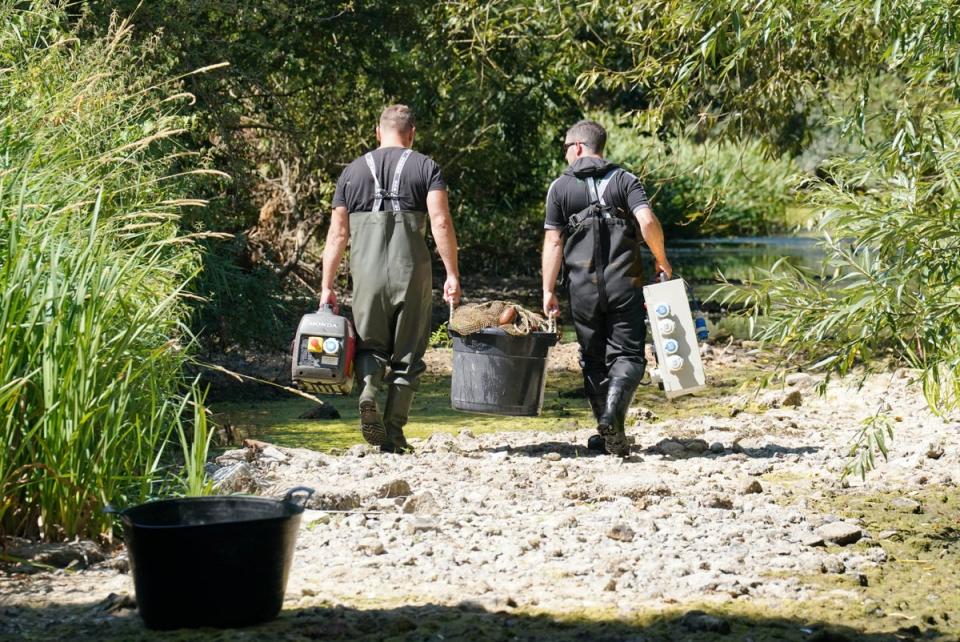 Fisheries officers from the Environment Agency remove equipment used to rescue fish from a drying pool of the River Mole (Jonathan Brady/PA) (PA Wire)