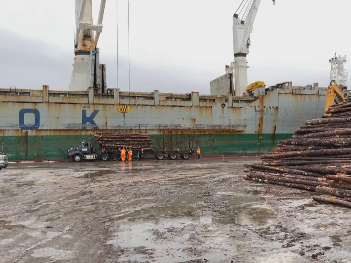 The Federal Court issued an arrest warrant for the Qian Kun and ordered it to remain in Happy Valley-Goose Bay Thursday. A settlement between the ships owners and St. John's contractor Miller Shipping was reached Friday. (Regan Burden/CBC - image credit)