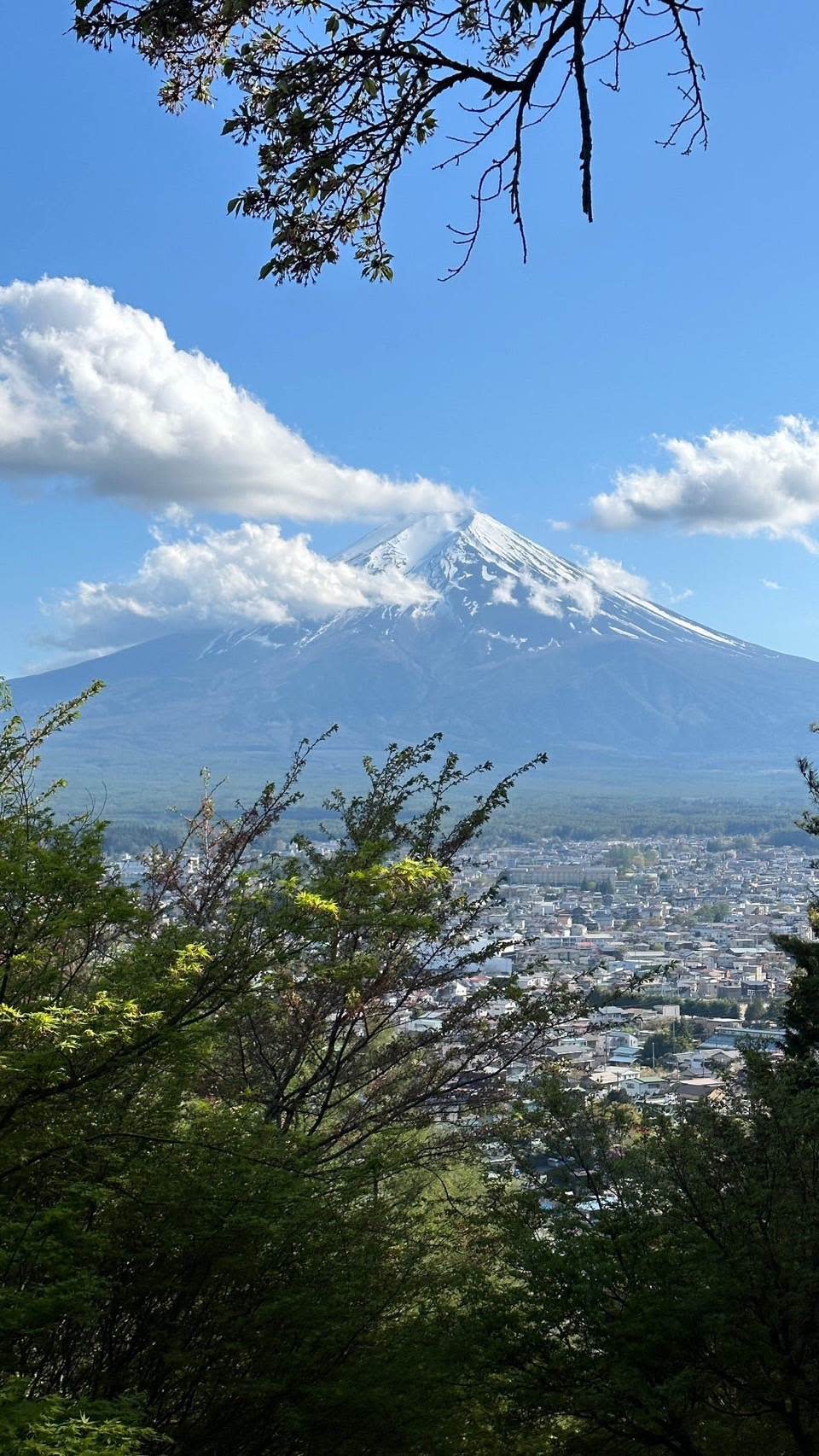 想要到淺間神社，需要爬15分鐘左右的上坡步道，走到半路回頭一看，就能看到富士山在你眼前圖片來源：CaVa