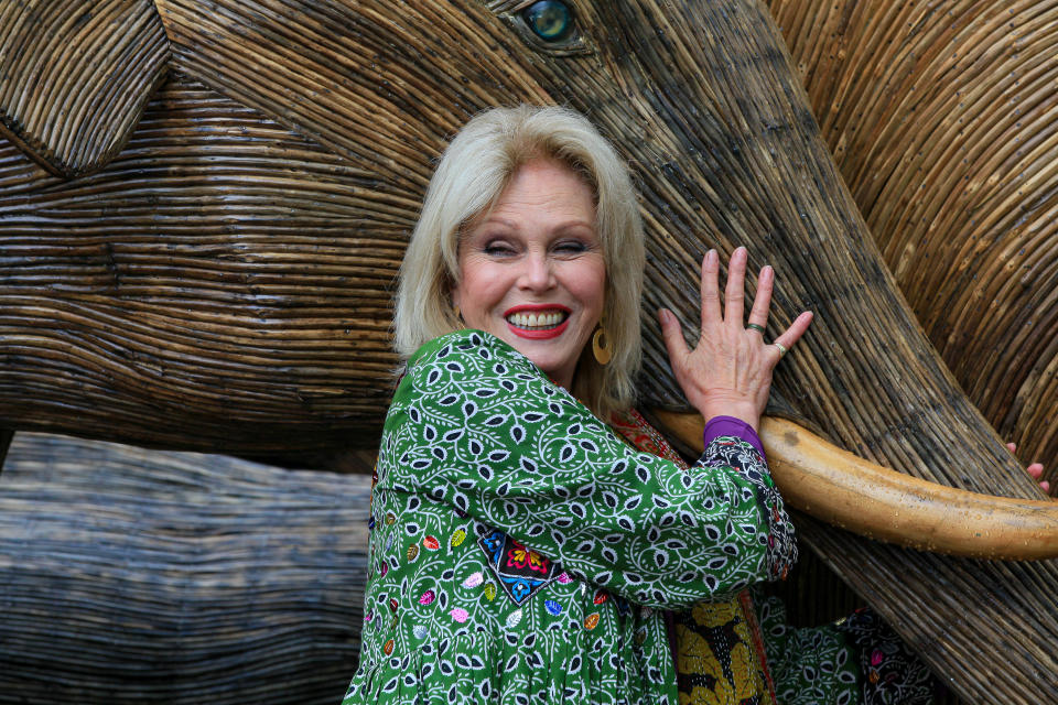 LONDON, ENGLAND - MAY 15: Joanna Lumley celebrates The Elephant Family's CoExistence campaign at a special exhibition featuring elephant sculptures crossing The Mall on May 15, 2021 in London, England. (Photo by David M. Benett/Dave Benett/Getty Images)