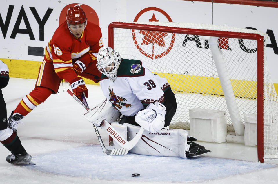 Arizona Coyotes goalie Connor Ingram (39) blocks the net on Calgary Flames forward Andrei Kuzmenko during the second period of an NHL hockey game in Calgary, Alberta, Sunday, April 14, 2024. (Jeff McIntosh/The Canadian Press via AP)